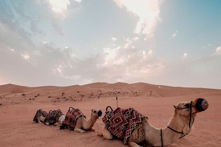 Dubai Desert Safari: Dune Bashing, Camel Rides & Bedouin Camp Dinner photo 3