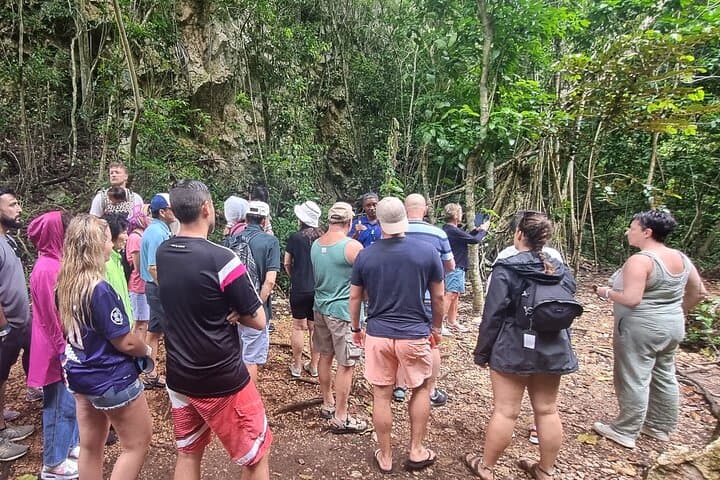 Los Haitises Eco Tour: Cano Hondo & Montaña Redonda Day Trip from Punta Cana photo 6