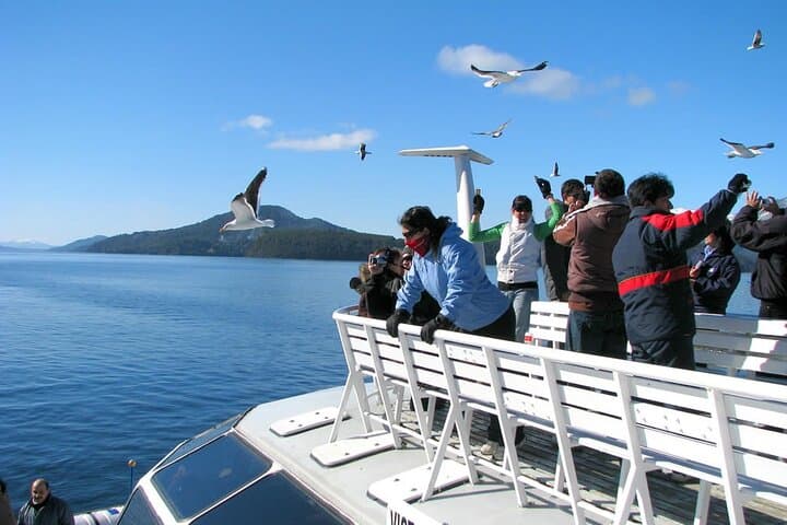 Sailing the Andean Lakes: Catamaran Journey from Puerto Varas to Bariloche photo 4