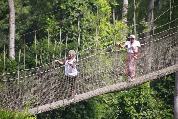 Kakum National Park Canopy Walk: Private Shore Excursion from Takoradi photo 6