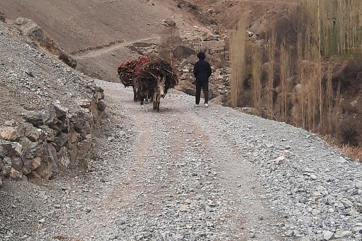 Samarkand to Panjakent: Day Trip to the Seven Lakes and Sarazm Ruins photo 4