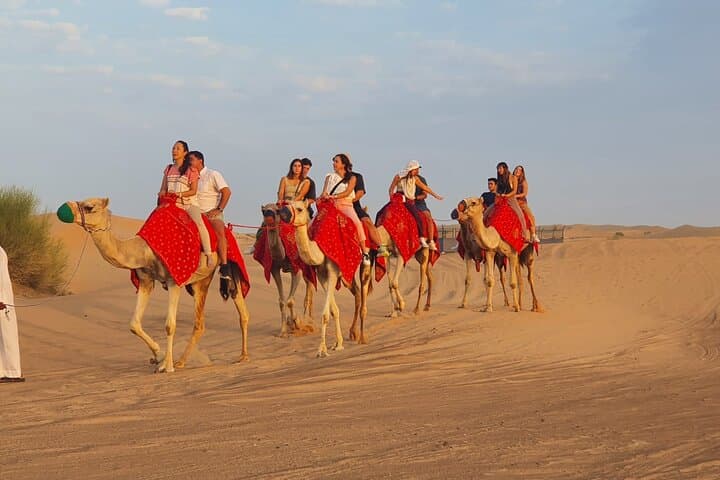 Red Dunes Safari: Camel Rides, Dune Bashing & BBQ Under Desert Stars photo 6