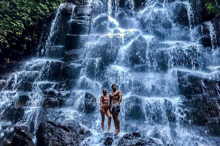 Ubud Waterfalls, Tegallalang Rice Terraces & Tirta Empul Private Tour photo 3
