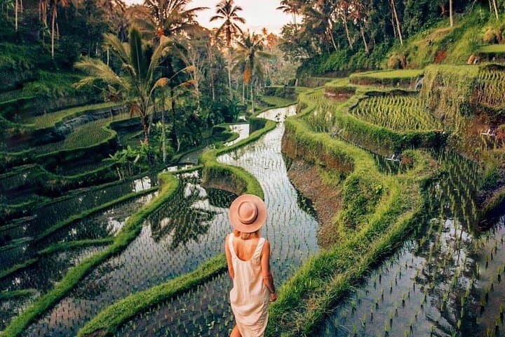 Ubud Waterfalls, Tegallalang Rice Terraces & Tirta Empul Private Tour photo 5