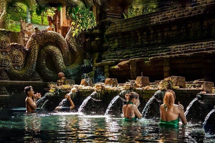 Ubud Waterfalls, Tegallalang Rice Terraces & Tirta Empul Private Tour photo 6