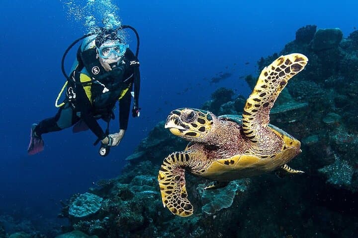Zakynthos Scuba Diving at Turtle Island & Keri Caves — Guided Dives with Photos photo 1