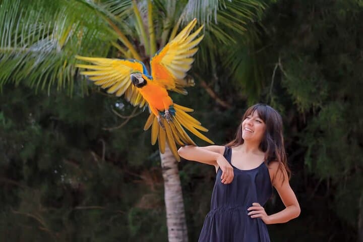 Las Caletas: Puerto Vallarta's Private Beach, Snorkel & Adventure Cove photo 3