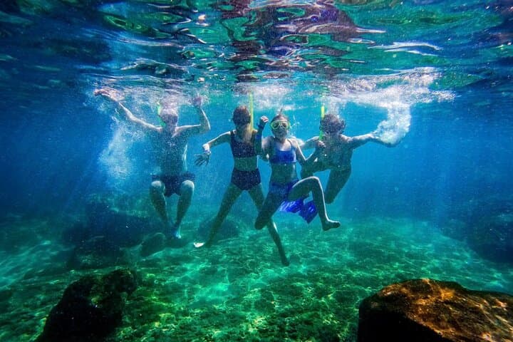 Las Caletas: Puerto Vallarta's Private Beach, Snorkel & Adventure Cove photo 5