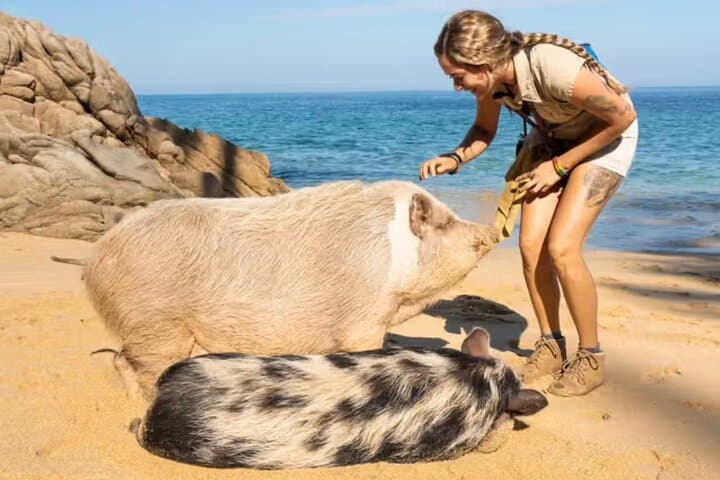 Las Caletas: Puerto Vallarta's Private Beach, Snorkel & Adventure Cove photo 6