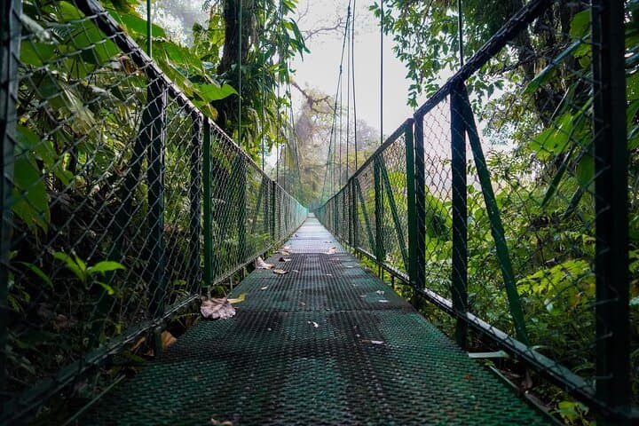 Custom Arenal Volcano Day: Private Off-the-Beaten-Path Tour photo 4