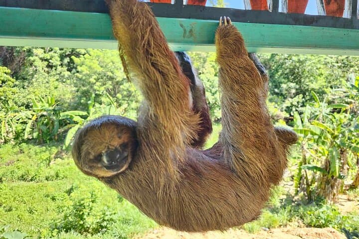 Roatán Wildlife Sanctuary, Chocolate & Rum Tasting with West Bay Snorkel photo 6