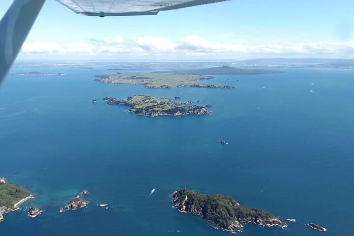 Waiheke Island Scenic Flight — 30-Minute Coastal & Vineyard Air Tour photo 4