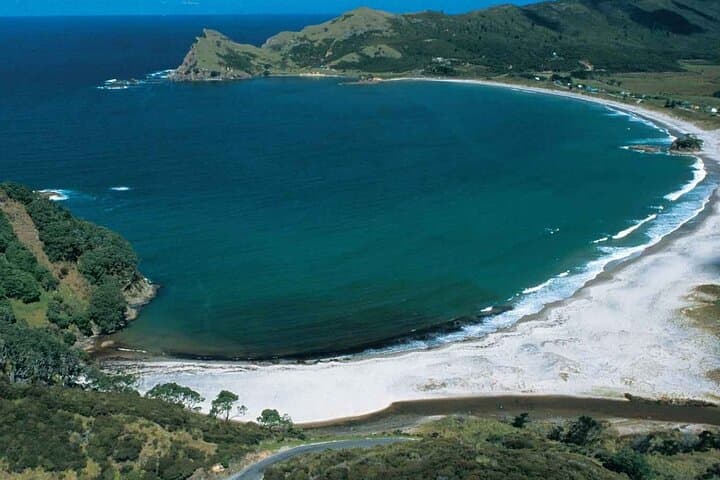 Island Hopper: Scenic Flights to Great Barrier & Waiheke with Wine Tasting from Auckland