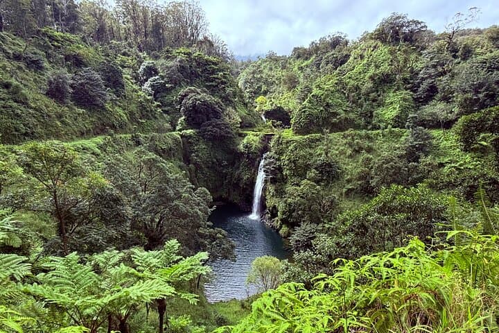 Private Road to Hana Tour: Local-Led East Maui Adventure Through Rainforest, Waterfalls & Coast photo 5