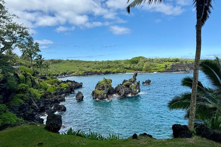 Private Road to Hana Tour: Local-Led East Maui Adventure Through Rainforest, Waterfalls & Coast photo 6
