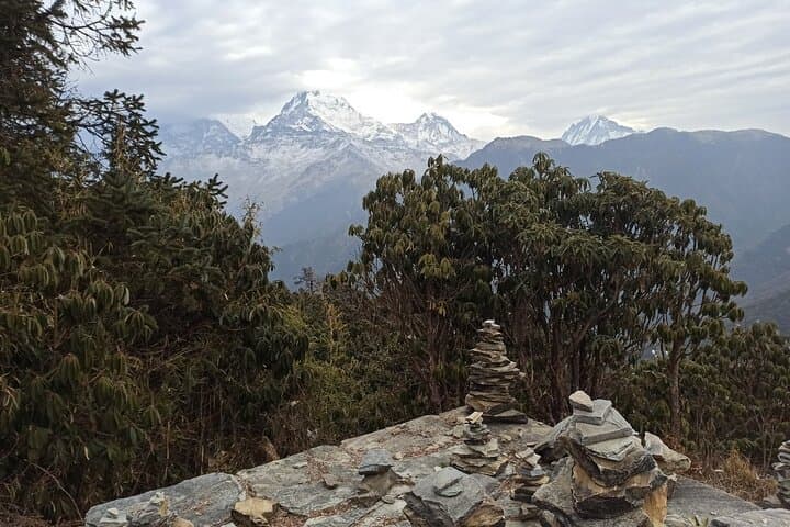 Poon Hill Trek: 4-Day Annapurna Sunrise Trek from Pokhara photo 3
