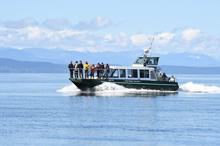 Granville Island Whale Watching: Intimate West Coast Wildlife Cruise photo 2