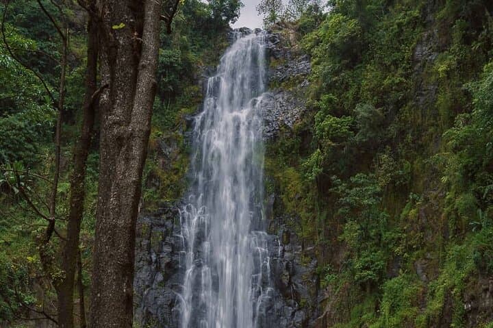 Materuni Waterfalls Hike, Coffee Tour & Chagga Meal near Kilimanjaro photo 2