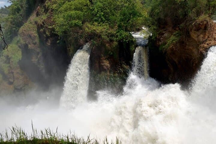 3-Day Murchison Falls Private Safari: Rhino Tracking, Game Drives & Boat Launch