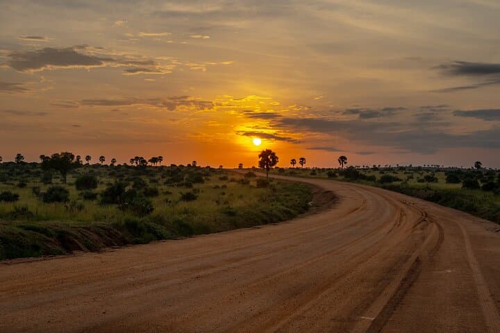 3-Day Murchison Falls Private Safari: Rhino Tracking, Game Drives & Boat Launch photo 4