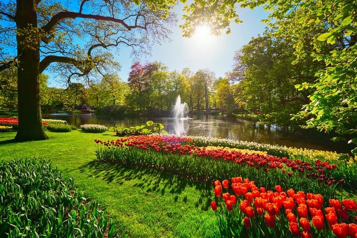 Keukenhof & Tulip Fields Private Floral Adventure from Amsterdam