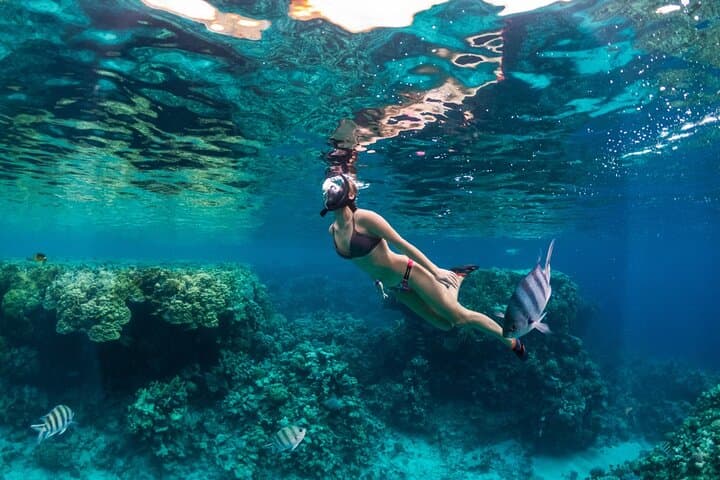 Blue Lagoon Snorkeling Bali: All-Inclusive Padang Bai Tour to Tanjung Jepun photo 2