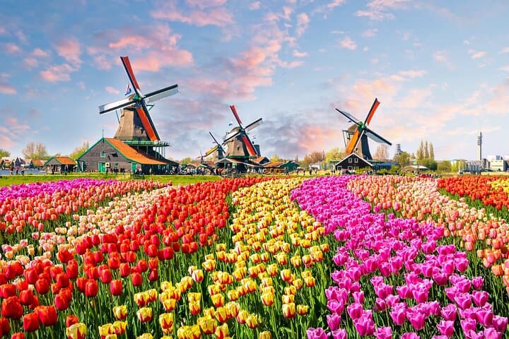 Keukenhof & Tulip Fields Private Floral Adventure from Amsterdam photo 2