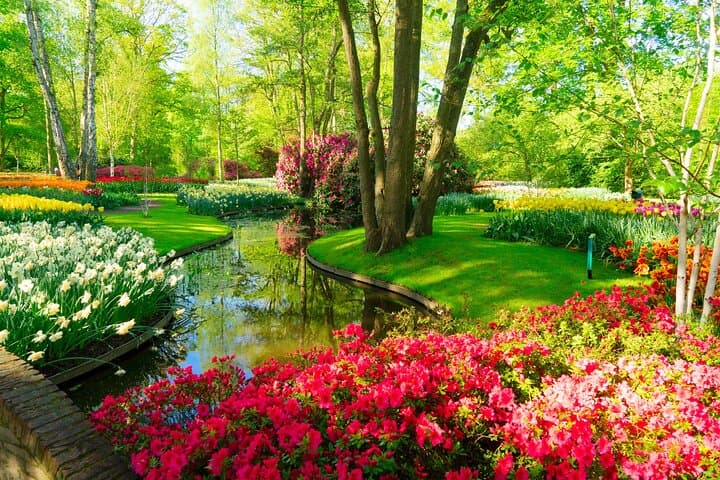 Keukenhof & Tulip Fields Private Floral Adventure from Amsterdam photo 6