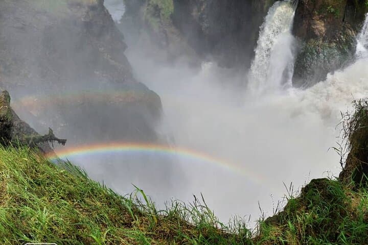 3-Day Murchison Falls Private Safari: Rhino Tracking, Game Drives & Boat Launch photo 2