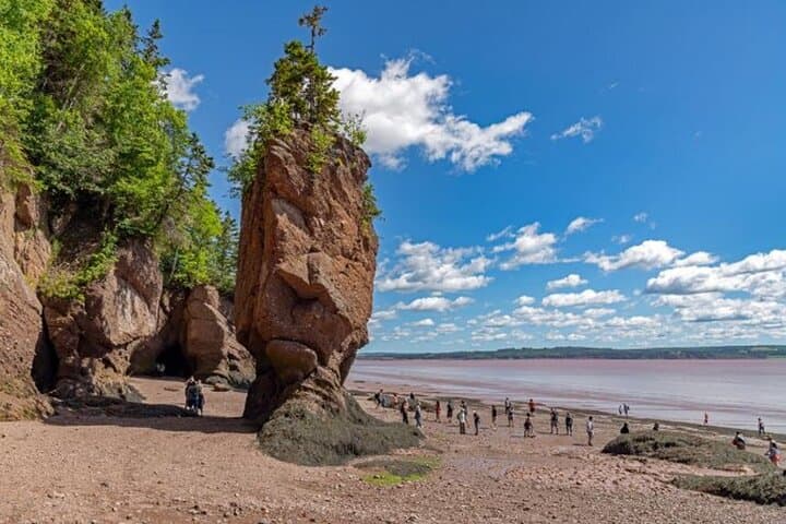 Bay of Fundy & Hopewell Rocks Private Tour from Saint John