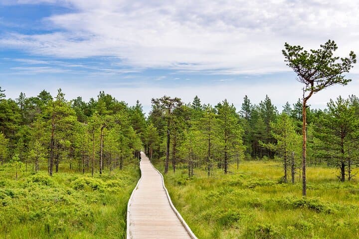 Lahemaa National Park Day Trip from Tallinn: Waterfalls, Manors & Coastal Bogs photo 2