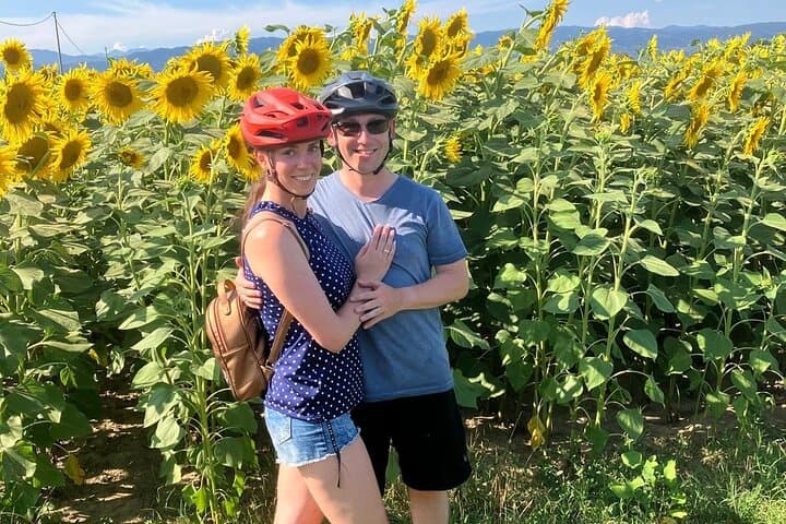 Puccini Bike Path & Lake Massaciuccoli E-Bike Tour from Lucca photo 3