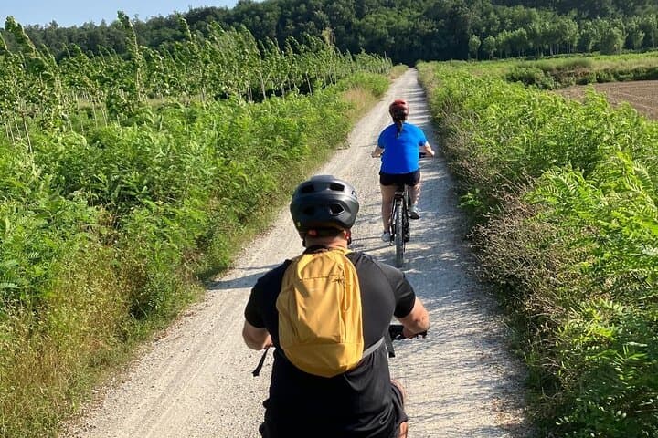 Puccini Bike Path & Lake Massaciuccoli E-Bike Tour from Lucca photo 4