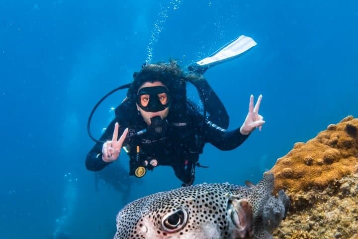 Scuba Diving in Arraial do Cabo from Rio de Janeiro — 2 Dives & Boat Trip photo 6