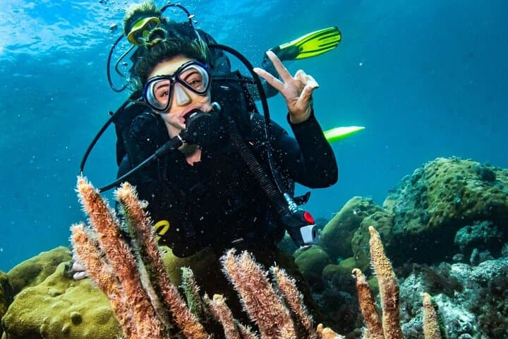 Scuba Diving in Arraial do Cabo from Rio de Janeiro — 2 Dives & Boat Trip photo 5