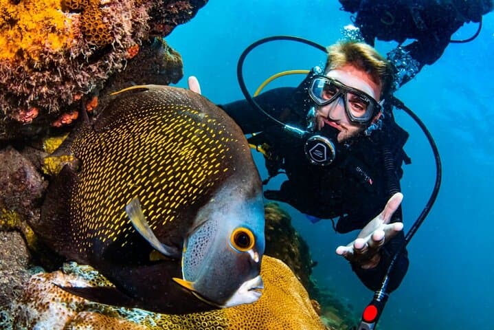 Scuba Diving in Arraial do Cabo from Rio de Janeiro — 2 Dives & Boat Trip