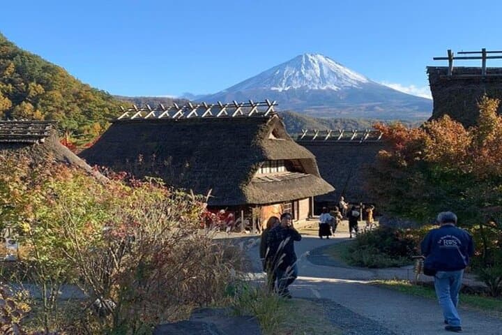 Day Trip to Mt Fuji & Hakone: Private Full-Day Tour from Tokyo photo 5