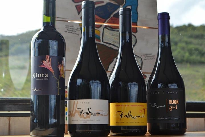 Polkura Vineyard Tasting in Colchagua Valley — Marchigüe Wine Tour