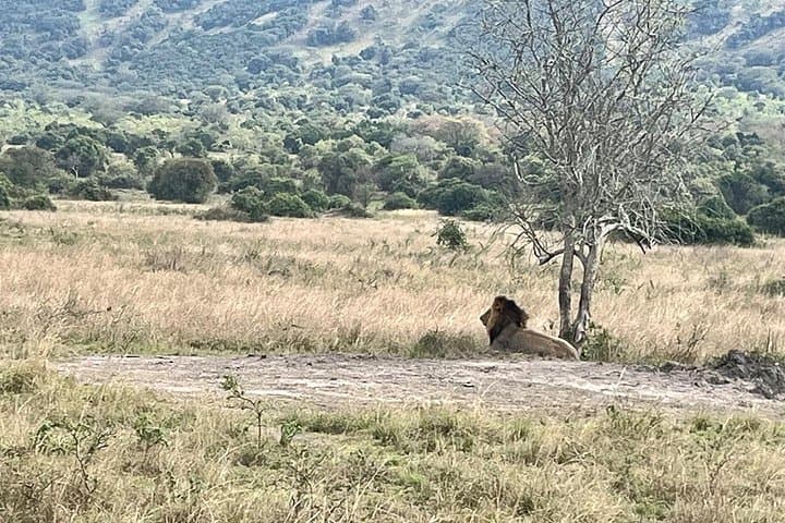 Two-Day Akagera Safari: Game Drives, Boat Cruise & Overnight Safari Resort photo 4