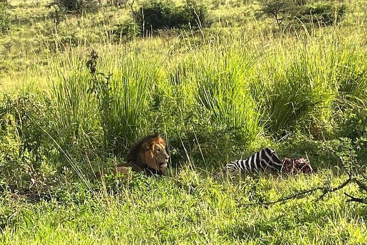 Two-Day Akagera Safari: Game Drives, Boat Cruise & Overnight Safari Resort