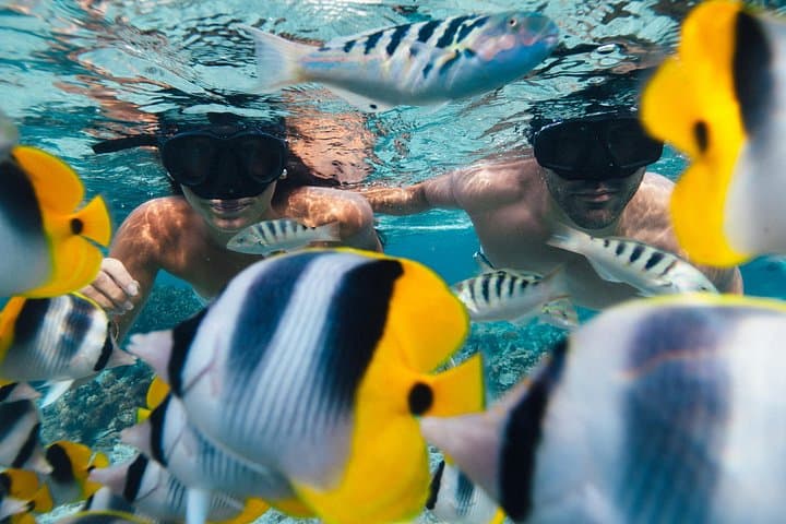 Private Blue Lagoon Canoe Tour on Raiatea & Tahaa — Snorkel, Motu Lunch & Cultural Stops photo 3
