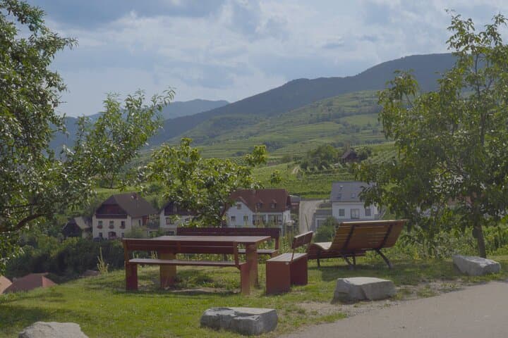 Wachau Discovery Tour: Half-Day Danube Castles, Vineyards & Melk Abbey photo 3