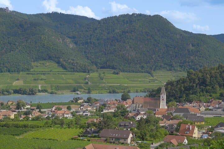 Wachau Discovery Tour: Half-Day Danube Castles, Vineyards & Melk Abbey photo 4