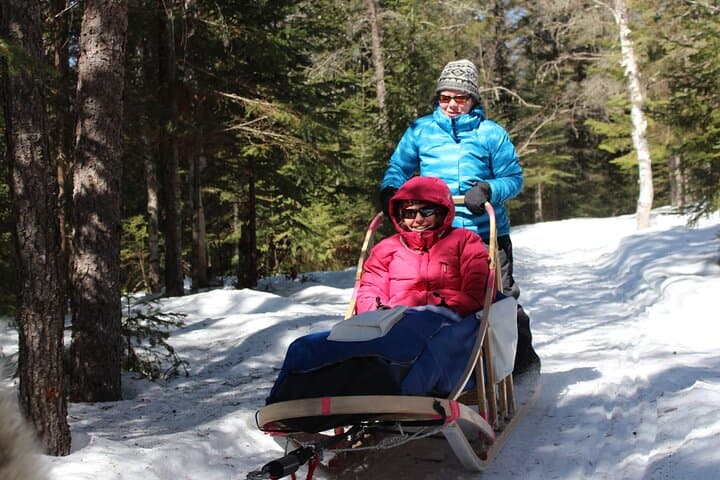 Mont-Tremblant Dogsledding: Nordic Adventure Through Laurentian Forests photo 3