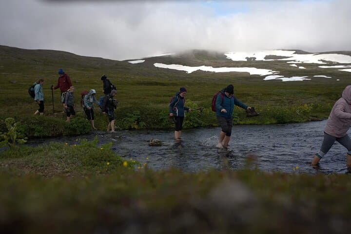 Hornstrandir Hike: Remote Hesteyri to Sæból Full-Day Wilderness Trek
