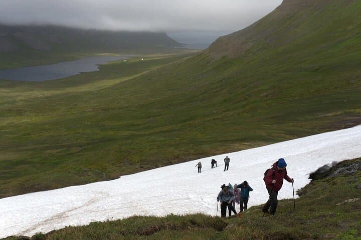 Hornstrandir Hike: Remote Hesteyri to Sæból Full-Day Wilderness Trek photo 6