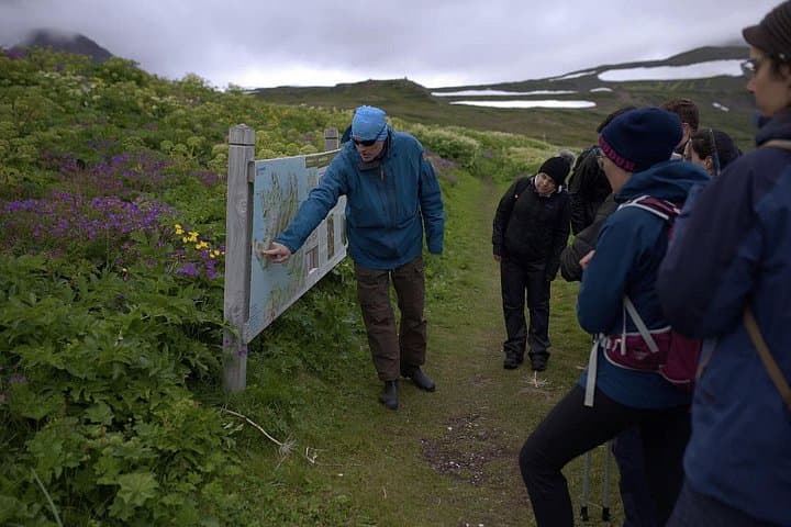 Day Hike in Hornstrandir Nature Reserve from Ísafjörður to Hesteyri photo 4