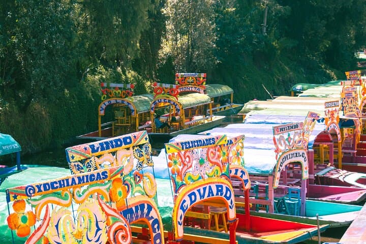 Xochimilco Trajinera Party: Guacamole Contest, Mariachi & Unlimited Drinks photo 2