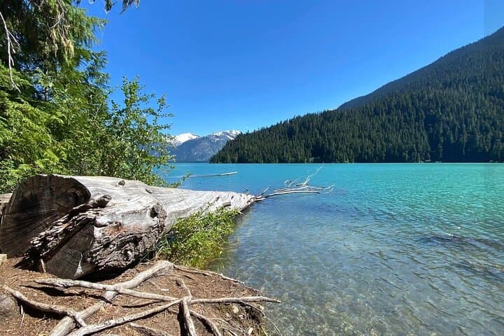 Half-Day Guided Hike in Squamish — Coastal Rainforest to Alpine Viewpoints photo 3