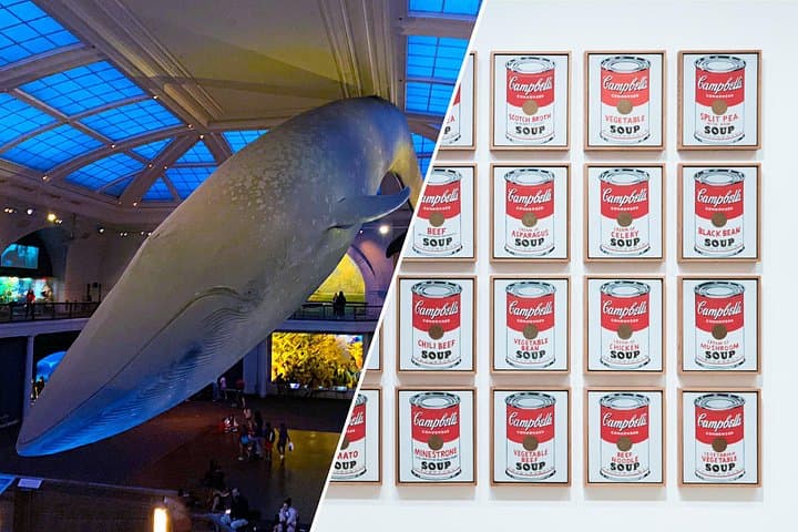 MoMA & American Museum of Natural History Combo Tickets — Skip the Line in NYC photo 1